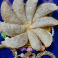 Vibhooti Jain का कुकस्नैप जब उन्होंने गुजिया (Gujiya recipe in Hindi) बनाया था।