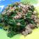 รูป Cooksnap ของ Somchai Pantong เมื่อเขาทำ กระเพราหมูสับ