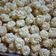 Cooksnap dari Sari Utami Kimdonghwa untuk resep Sagu keju andalan hannaii cakes #seninsemangat