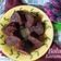 Cooksnap dari Lailazegaff untuk resep Bolu Karamel