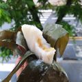 Cooksnap dari Meutia Dewi untuk resep Nagasari tepung beras