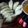 Cooksnap dari yulia triani untuk resep Choi Pan
