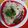 Dipti Mehrotra's cooksnap of when they made जीरा राइस (Jeera rice recipe in hindi).