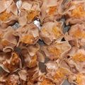Cooksnap dari niken untuk resep Siomay Dimsum Ayam Sederhana & Mudah 👍