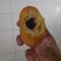 Cooksnap dari retno anggraini untuk resep Donat kentang takaran sendok untuk pemula anti gagal tanpa kalis
