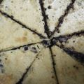 hemilkiri2001's cooksnap of when they made Philadelphia cheesecake (classic).