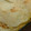 El cooksnap de miriam gonzalez cuando hizo Pastel de papas vegetariano.