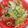Cooksnap của Lìn Lìn khi họ làm theo món Salad ức gà và bơ