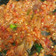 Cooksnap dari Yulia Achmad untuk resep Sambal Korek Bawang