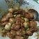 Cooksnap dari Linda imala ichsanti untuk resep Sambel goreng udang pete telor puyuh