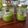 Cooksnap dari Ni Putu Intan Sri Maharani untuk resep Avocados Smoothie