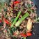 Cooksnap dari Miranti Azmi untuk resep Tongkol Suwir Balado