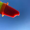 El cooksnap de Liz Chavez cuando hizo Palitos helados de fruta.