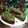 El cooksnap de zay cuando hizo Brownie súper fácil, súper húmedo y súper rico !.