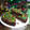 El cooksnap de zay ❀ cuando hizo Brownie súper fácil, súper húmedo y súper rico !.