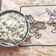 Sangita Vyas's cooksnap of when they made ચીઝી ગાર્લિક પાસ્તા ઈન વ્હાઇટ સૉસ (Cheesy Garlic Pasta In White Sauce Recipe In Gujarati).