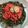 Cooksnap dari Flocin untuk resep Plecing Kangkung khas Lombok