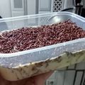 Cooksnap dari Dapur Mama untuk resep Stup roti susu keju