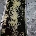Cooksnap dari Rizky Khaerany untuk resep Cheese Cake Lumer Oreo