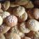 Cooksnap dari farhatul ummah untuk resep Ginger Cookies (#pr_kuekering)