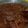 Cooksnap dari AMie Sherly untuk resep Rendang daging sapi