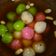 Cooksnap dari Rosliyana0308 Lia untuk resep Wedang Ronde
