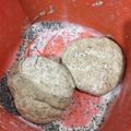 El cooksnap de Liliana Noemí Bonavita cuando hizo Pan casero integral.
