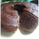 Cooksnap dari Doyan Makan untuk resep Bolu kukus coklat no mixer tanpa ribet
