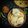 Priyodarshini Negel's cooksnap of when they made Koraishutir kochuri (peas kochuri).