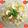 Jayshree Doshi's cooksnap of when they made સાબુદાણાની ખીચડી (Sabudana Khichdi Recipe In Gujarati).