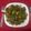 Rekha Vora's cooksnap of when they made પનીર ચીલી ડ્રાય (paneer chilli dry recipe in Gujarati).