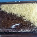 Cooksnap dari danish_desert untuk resep Brownies Kukus Hemat