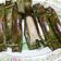 Cooksnap dari Iim Astiwuri untuk resep Otak-Otak Ikan Tengiri (panggang dengan Teflon)