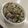 Shiko Leung 的 日式牛肉丼飯 cooksnap