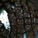 Cooksnap dari Nismail untuk resep Fudgy brownies erlina lim