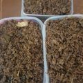 Cooksnap dari Lientje Komalasari untuk resep Abon Sapi Gurih & Renyah
