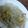 صورة من Mariam Ana، شاركها بعد تجربة وصفة 🍝 معكرونة بالبشاميل 🍝
