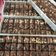Cooksnap dari Ir Irma Rachim untuk resep Brownies 1/2 Kilo