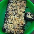 Cooksnap dari Vania Kuhon untuk resep 60. Brownies Panggang No Mixer