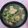 Cooksnap dari Ainun Ma'rufah untuk resep Sayur kecambah tahu
