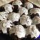 Cooksnap από Giota στη συνταγή Νηστίσιμα choco muffins!🤤