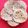 Sangita Vyas's cooksnap of when they made Quinoa Flour Chapati.