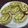 Cooksnap dari Juraida untuk resep Hurricane Swiss Roll Cake +(tips cara menggulung)
