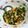 霄追 的 波菜番茄炒蛋 cooksnap