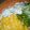 Zee's Kitchen's cooksnap of when they made Coleslow.