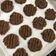 Cooksnap dari Vivi Septiany || @feiifeiilee untuk resep Vegan Almond Cookies (Almond Pulp)