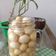 Cooksnap dari Della untuk resep Acar bawang putih tunggal