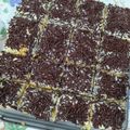 Cooksnap dari Tita Ariesta untuk resep Bolu Jadul Vanilla