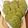 il NippItaly quando ha preparato I biscotti di matcha (te verde giapponese)