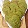 il NippItaly quando ha preparato I biscotti di matcha (te verde giapponese)